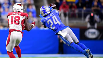 Arizona Cardinals v Detroit Lions