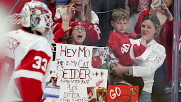 Mar 25, 2025; Denver, Colorado, USA; Detroit Red Wings fans react towards goalie Sebastian Cossa (33) before the game against the Colorado Avalanche at Ball Arena. Mandatory Credit: Ron Chenoy-Imagn Images