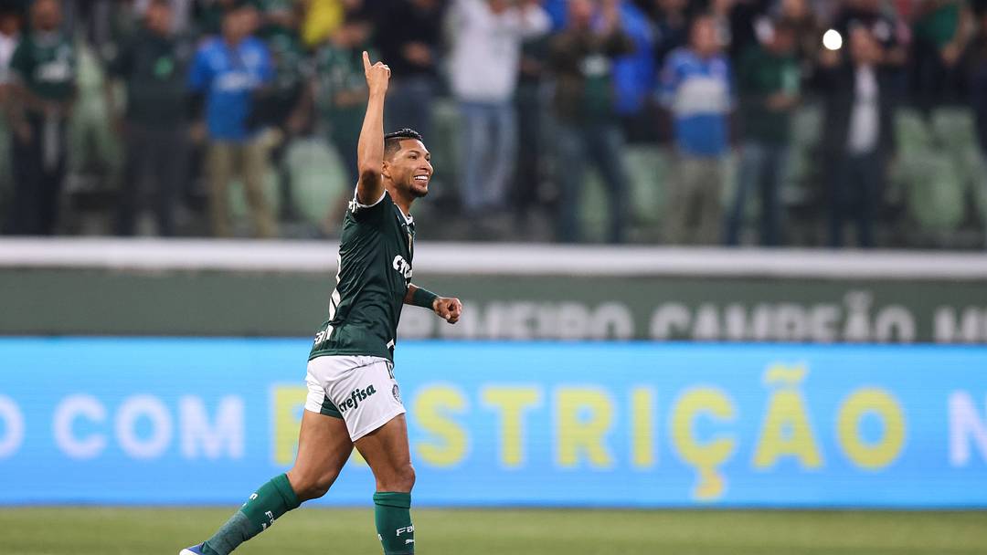 MAIOR DO BRASIL: números comprovam superioridade do Palmeiras no Brasil
