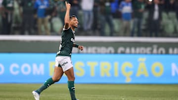 Com bom equilíbrio entre defesa e ataque, o Palmeiras é o clube a ser batido no Campeonato Brasileiro. 