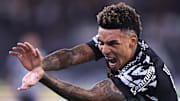 Botafogo busca primeira vitória na Libertadores 2025 