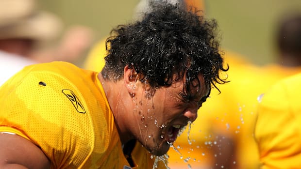 Pittsburgh Steelers defensive end Shaun Nua