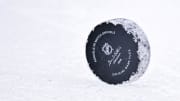 A general view of an NHL hockey puck during the game between the Dallas Stars and the Washington Capitals at the American Airlines Center