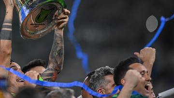 Faltam apenas 13 rodadas para o fim do Brasileirão. Faltam apenas 13 rodadas para o fim do Brasileirão.