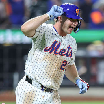 Former Florida Gators star Pete Alonso has officially solidified himself as one of baseball's all-time greats after becoming the New York Mets' all-time home run leader.