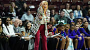Dec 17, 2024; Uncasville, Connecticut, USA; LSU Lady Tigers head coach Kim Mulkey watches from the sideline as they take on the Seton Hall Pirates at Mohegan Sun Arena. Mandatory Credit: David Butler II-Imagn Images