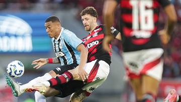 Grêmio e Flamengo se enfrentam pela rodada 15 do Brasileirão Grêmio e Flamengo se enfrentam pela rodada 15 do Brasileirão