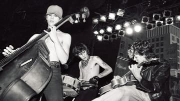 Stray Cats