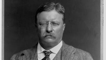 Portrait of Teddy Roosevelt.