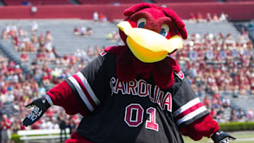 Apr 12, 2014; Columbia, SC, USA; South Carolina Gamecocks mascot Cocky during halftime of the South Carolina spring game at Williams-Brice Stadium. Mandatory Credit: Joshua S. Kelly-Imagn Images