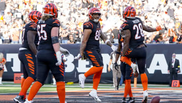Carolina Panthers v Cincinnati Bengals