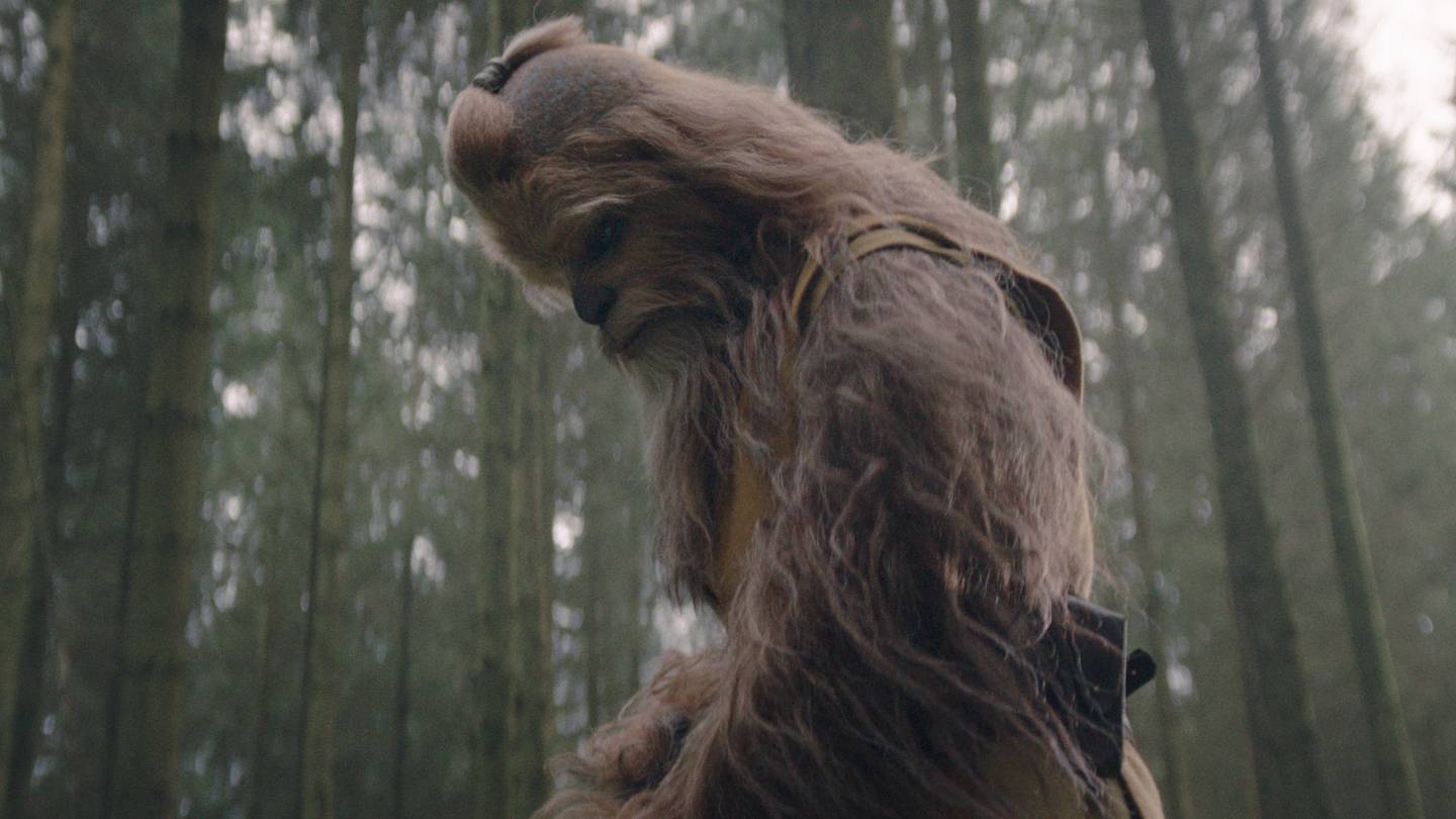 The Acolyte's new Wookiee Jedi is getting his own comic from Marvel - Vimarsana News