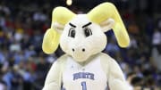 UNC basketball mascot Rameses