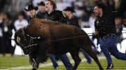 Sep 20, 2025; Boulder, Colorado, USA; Colorado Buffaloes mascot Ralphie VII runs at half time against the Wyoming Cowboys at Folsom Field. Mandatory Credit: Ron Chenoy-Imagn Images