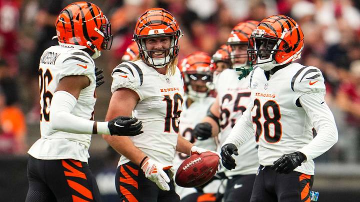Cincinnati Bengals v Arizona Cardinals
