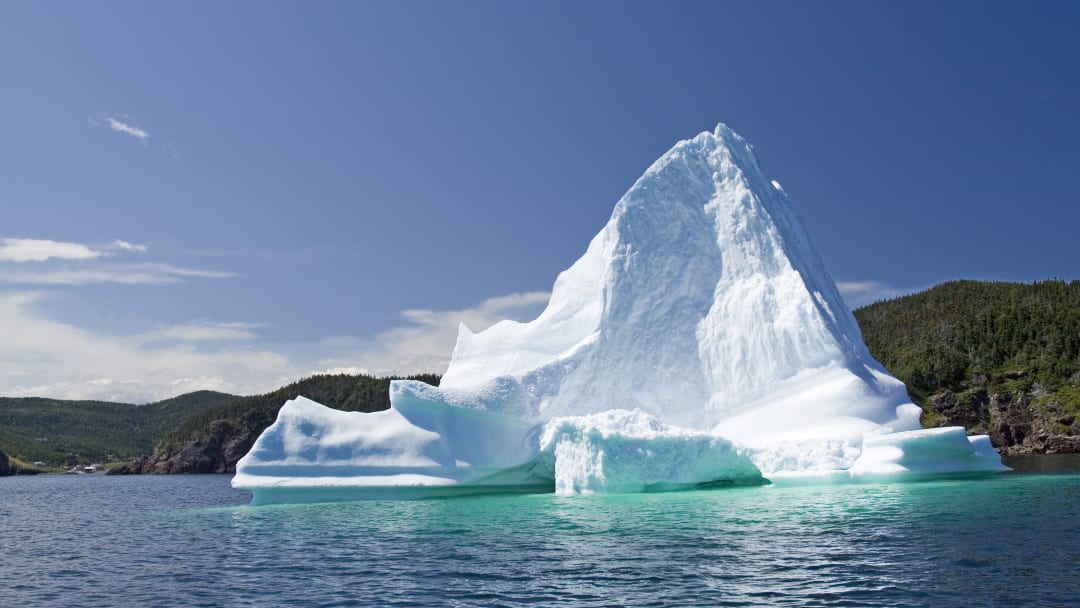 You won't have to head to sea to see some icebergs.