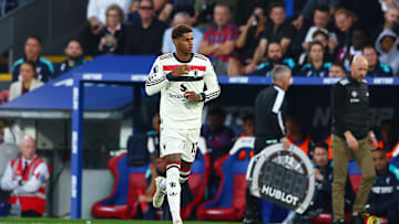 Crystal Palace FC v Manchester United FC - Premier League
