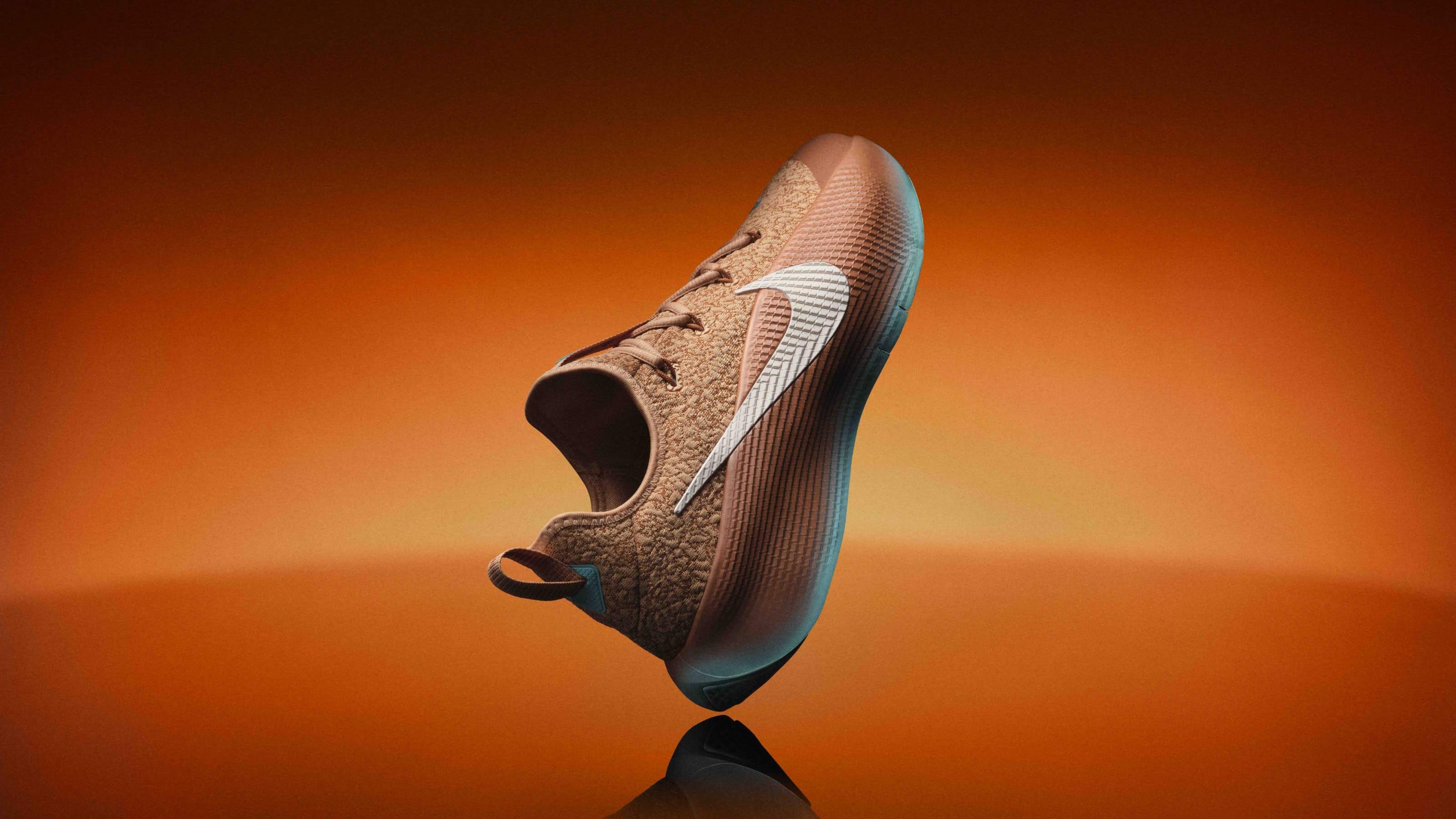 nike lebron bo trainer