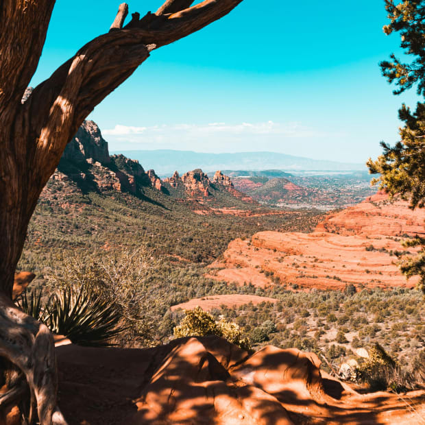 A desert setting with a cactus in the foreground and rocky terrain in the background.