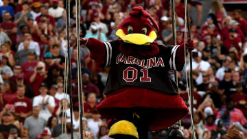 South Carolina football mascot Cocky