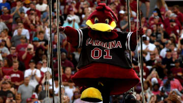 South Carolina football mascot Cocky