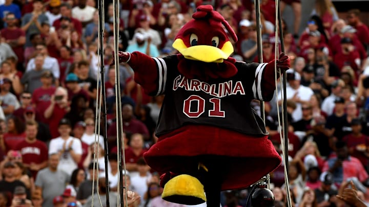 South Carolina Gamecocks mascot Cocky