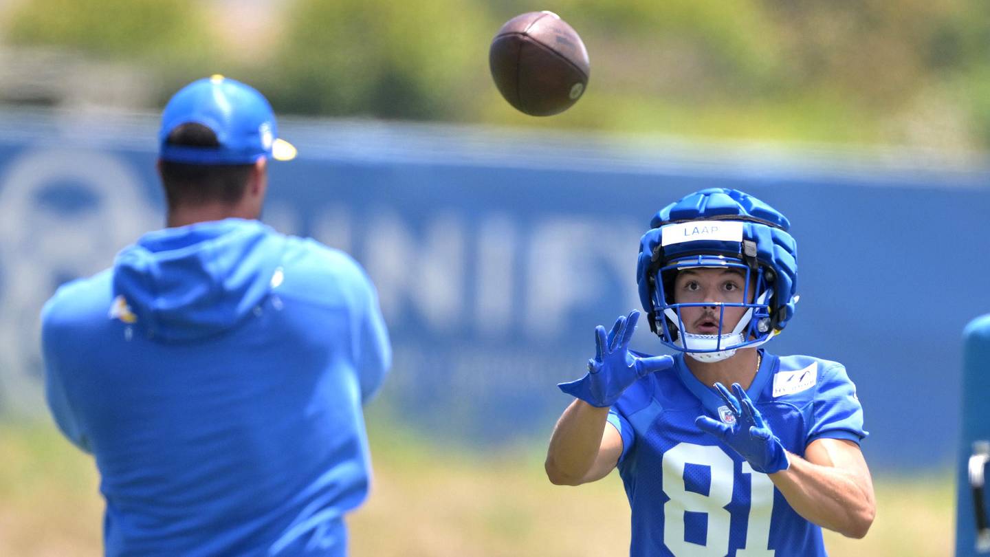 Rams News: Los Angeles Reveals 4 Bill Walsh Coaching Fellows for OTAs - Vimarsana News