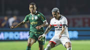 Palmeiras e São Paulo disputam Choque-Rei