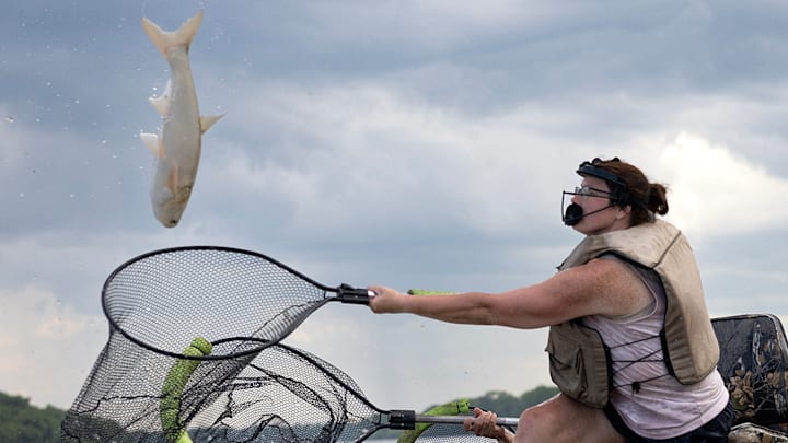 "Redneck" Fishing Tournament Battles Invasive Carp Species