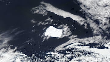 Shot of A23a taken from space.