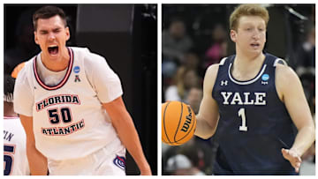 Vlad Goldin and Danny Wolf make up a formidable frontcourt for Dusty May and Michigan.