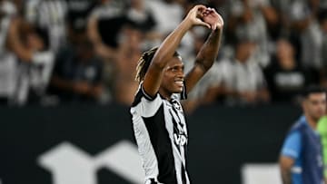Danilo é um dos grandes destaques do Botafogo