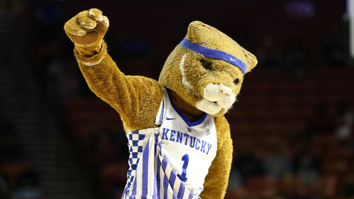 Mar 7, 2020; Greenville, SC, USA; The Kentucky Wildcats mascot dances during the second half against the Mississippi State Bulldogs at Bon Secours Wellness Arena. Mandatory Credit: Jeremy Brevard-USA TODAY Sports