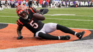 Baltimore Ravens v Cincinnati Bengals