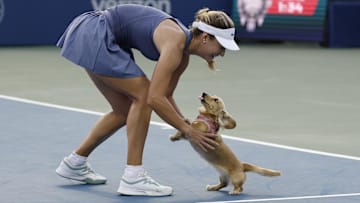Anna Kalinskaya plays with her dog Bella on the court after her match against Emma Raducanu in the Mubadala Citi DC Open.