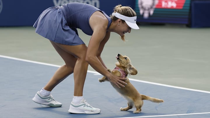 Anna Kalinskaya plays with her dog Bella on the court after her match against Emma Raducanu in the Mubadala Citi DC Open. Anna Kalinskaya plays with her dog Bella on the court after her match against Emma Raducanu in the Mubadala Citi DC Open.