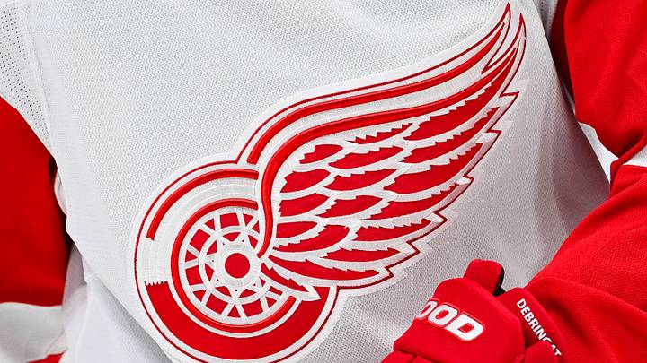 Detroit Red Wings logo Credit: David Kirouac-USA TODAY Sports Detroit Red Wings logo Credit: David Kirouac-USA TODAY Sports