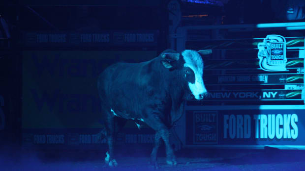 A bull coming out into the arena with a spotlight on him.