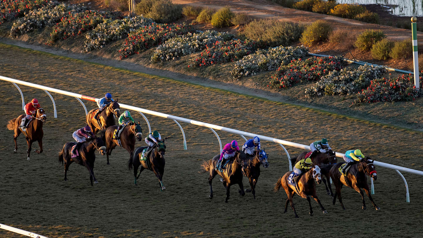 Sunday September 7th Race of the Day: Del Mar Futurity