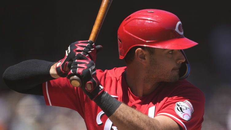 Cincinnati Reds catcher Aramis Garcia.