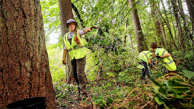 A woman in a high-visibility vest standing in a forest