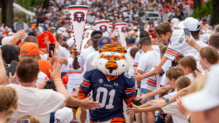 Auburn Tigers mascot Aubi9e walks in the Tiger Walk before the UMass game at Jordan-Hare Stadium on the Auburn University campus in Auburn, Ala., on Saturday September 2, 2023.