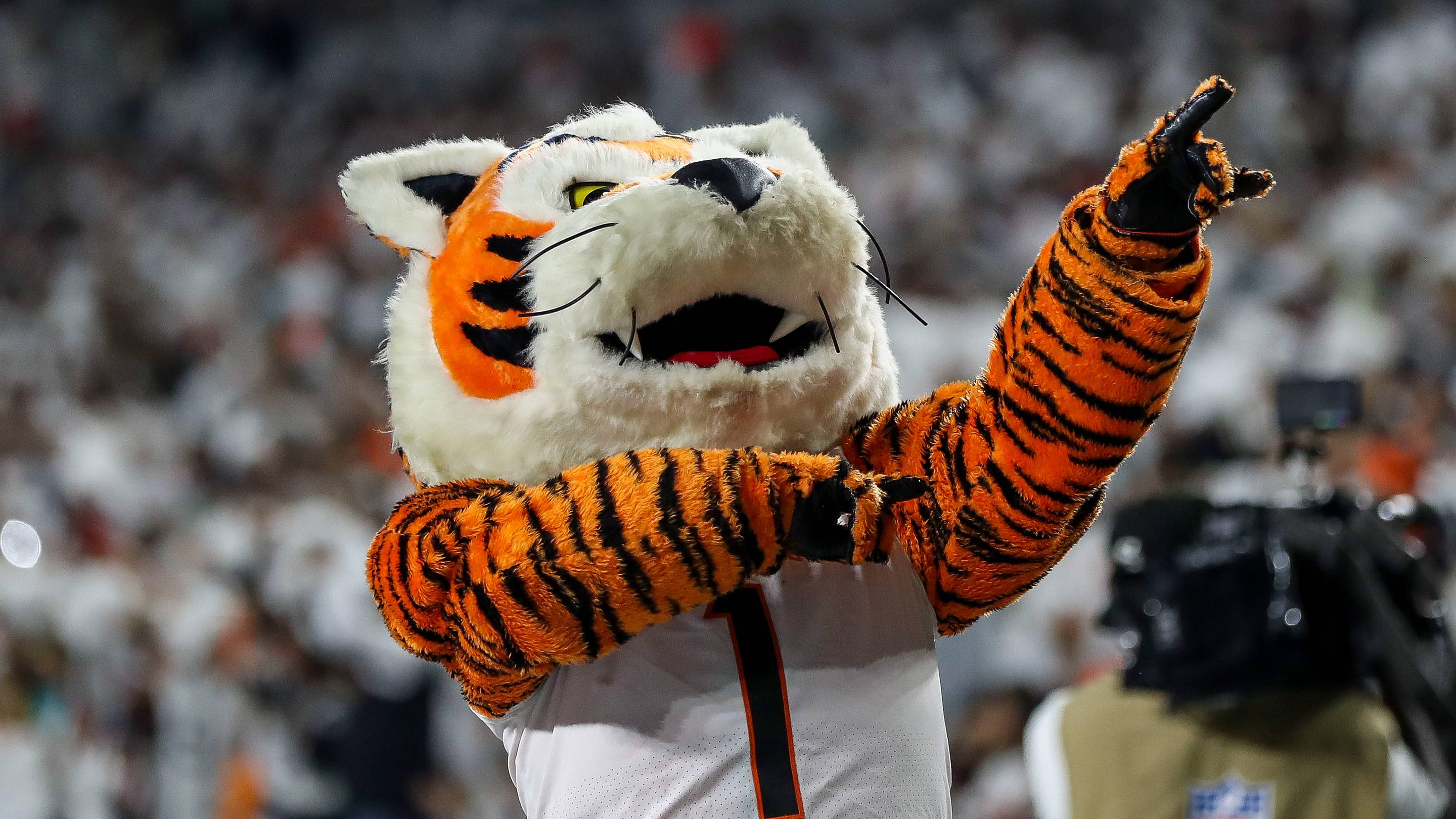 How to watch Jaguars vs. Bengals in Week 4 with or without cable (& more)