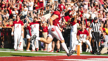 Nov 16, 2024; Tuscaloosa, Alabama, USA; Alabama Crimson Tide tight end Robbie Ouzts (45) scores a touchdown against the Mercer Bears during the second quarter at Bryant-Denny Stadium. Mandatory Credit: Will McLelland-Imagn Images