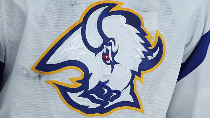 Nov 25, 2022; Buffalo, New York, USA;  A general view of the Buffalo Sabres logo on a jersey worn by Buffalo Sabres goaltender Craig Anderson (41) during the third period against the New Jersey Devils at KeyBank Center.