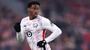 J. David - LOSC