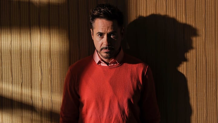 Robert Downey Jr.