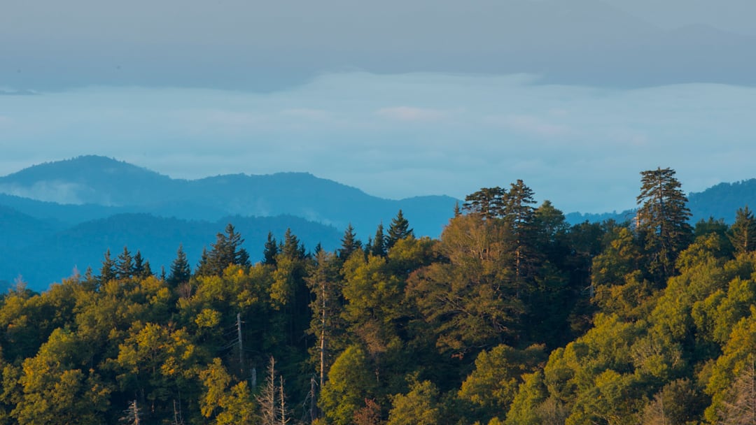 View of the Great Smoky Mountains National Park in North