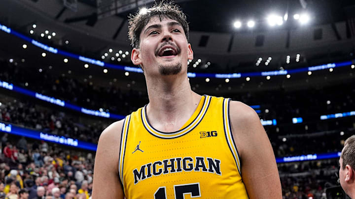 Michigan center Aday Mara