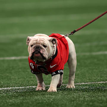 Dec 7, 2024; Atlanta, GA, USA; The Georgia Bulldogs mascot before the 2024 SEC Championship game at Mercedes-Benz Stadium. Mandatory Credit: Brett Davis-Imagn Images